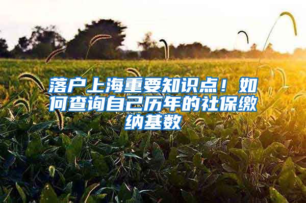 落户上海重要知识点！如何查询自己历年的社保缴纳基数