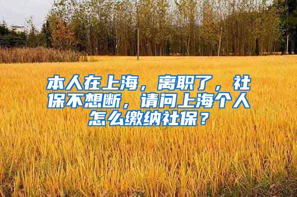 本人在上海，离职了，社保不想断，请问上海个人怎么缴纳社保？