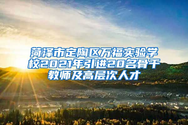 菏泽市定陶区万福实验学校2021年引进20名骨干教师及高层次人才