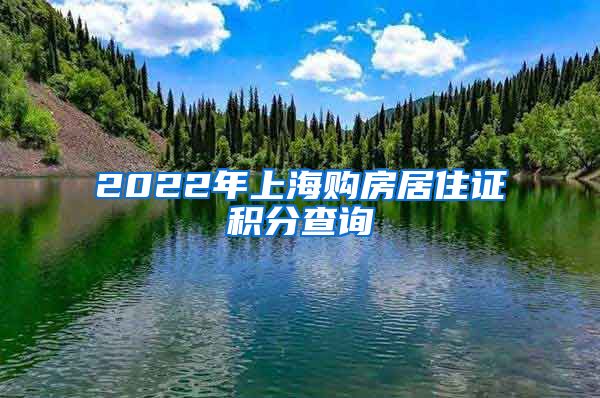 2022年上海购房居住证积分查询