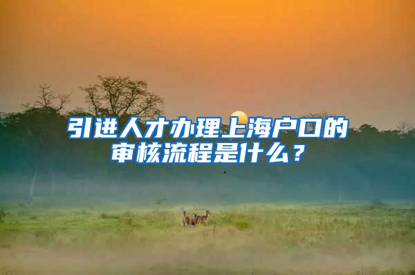 引进人才办理上海户口的审核流程是什么？