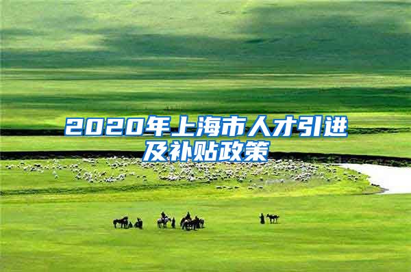 2020年上海市人才引进及补贴政策