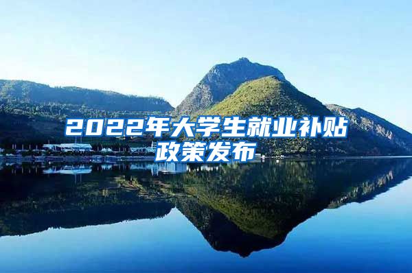 2022年大学生就业补贴政策发布