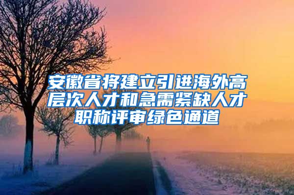 安徽省将建立引进海外高层次人才和急需紧缺人才职称评审绿色通道