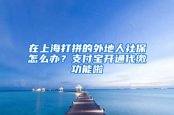 在上海打拼的外地人社保怎么办？支付宝开通代缴功能啦