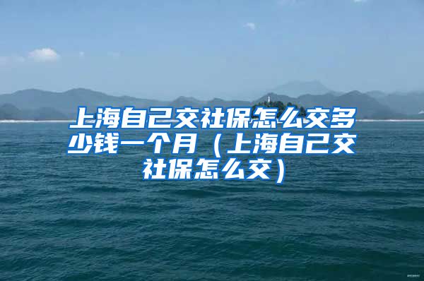 上海自己交社保怎么交多少钱一个月（上海自己交社保怎么交）