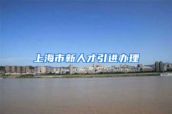 上海市新人才引进办理