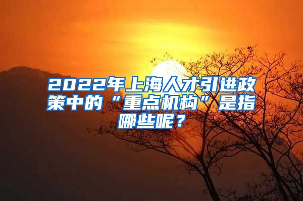 2022年上海人才引进政策中的“重点机构”是指哪些呢？