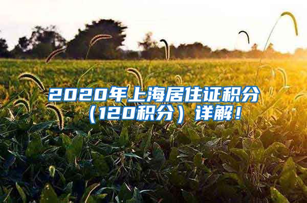 2020年上海居住证积分（120积分）详解！