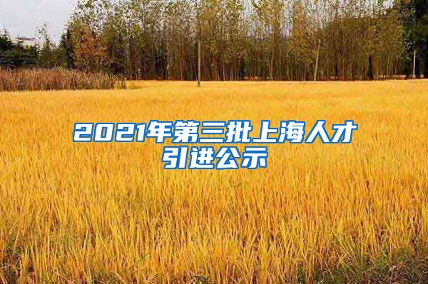 2021年第三批上海人才引进公示