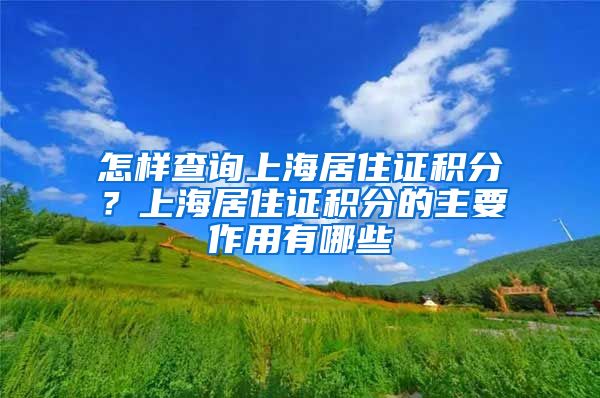 怎样查询上海居住证积分？上海居住证积分的主要作用有哪些