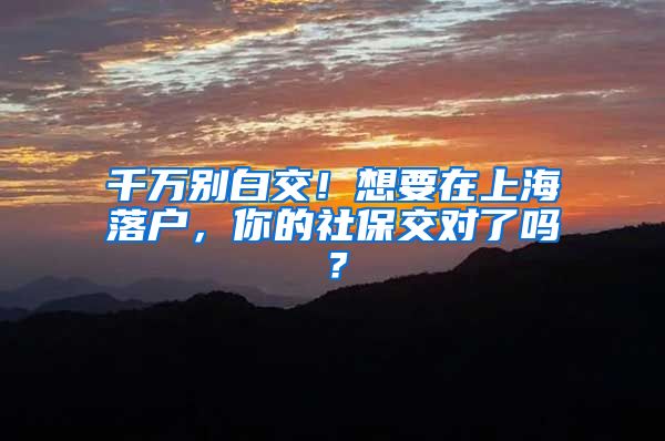 千万别白交！想要在上海落户，你的社保交对了吗？