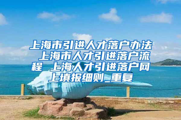 上海市引进人才落户办法 上海市人才引进落户流程 上海人才引进落户网上填报细则_重复