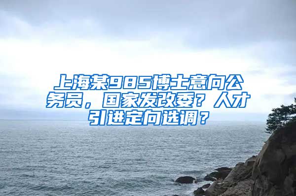 上海某985博士意向公务员，国家发改委？人才引进定向选调？