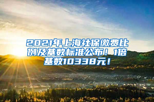 2021年上海社保缴费比例及基数标准公布！1倍基数10338元！