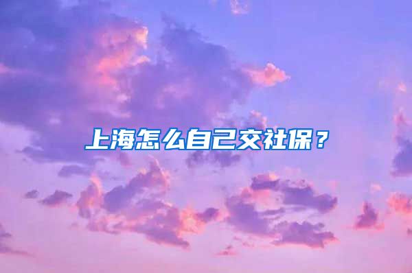 上海怎么自己交社保？