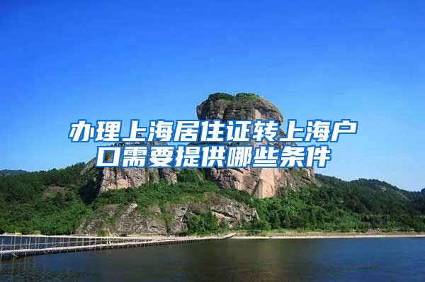 办理上海居住证转上海户口需要提供哪些条件