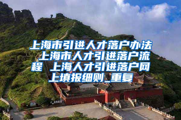 上海市引进人才落户办法 上海市人才引进落户流程 上海人才引进落户网上填报细则_重复