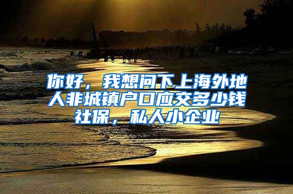 你好，我想问下上海外地人非城镇户口应交多少钱社保，私人小企业