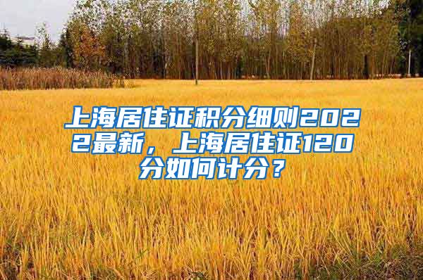 上海居住证积分细则2022最新，上海居住证120分如何计分？