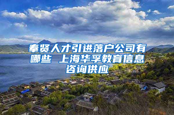 奉贤人才引进落户公司有哪些 上海华孚教育信息咨询供应