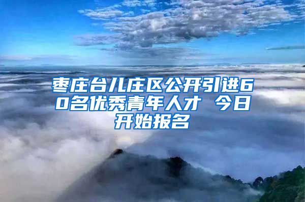 枣庄台儿庄区公开引进60名优秀青年人才 今日开始报名