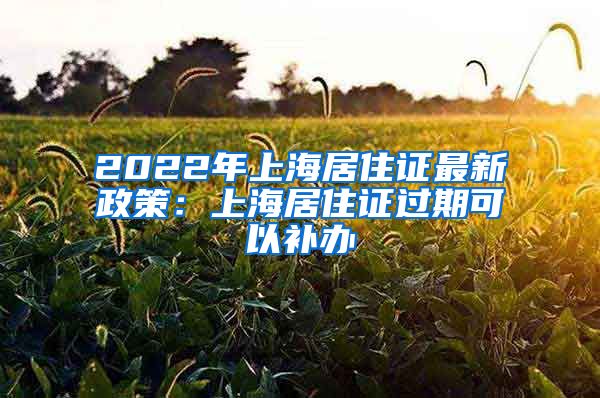 2022年上海居住证最新政策：上海居住证过期可以补办