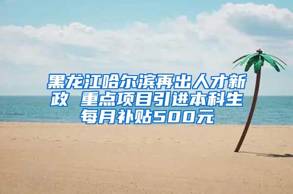黑龙江哈尔滨再出人才新政 重点项目引进本科生每月补贴500元