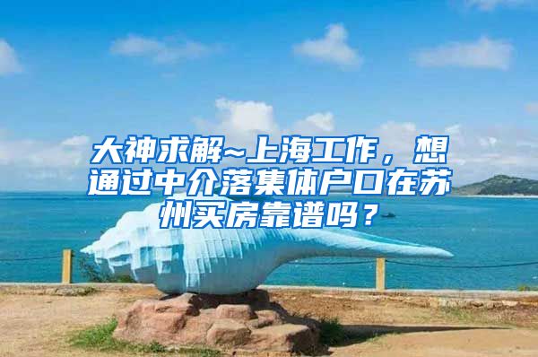 大神求解~上海工作，想通过中介落集体户口在苏州买房靠谱吗？