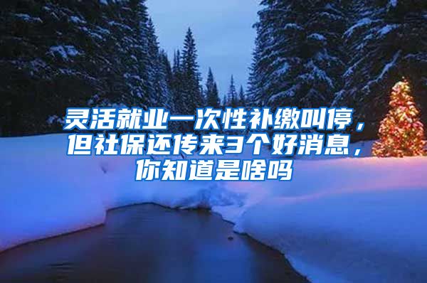 灵活就业一次性补缴叫停，但社保还传来3个好消息，你知道是啥吗