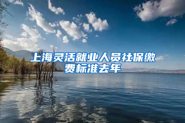 上海灵活就业人员社保缴费标准去年