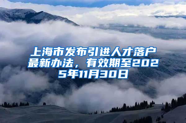 上海市发布引进人才落户最新办法，有效期至2025年11月30日
