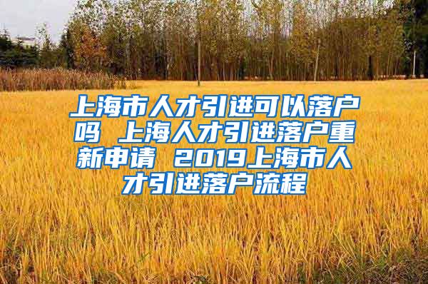 上海市人才引进可以落户吗 上海人才引进落户重新申请 2019上海市人才引进落户流程