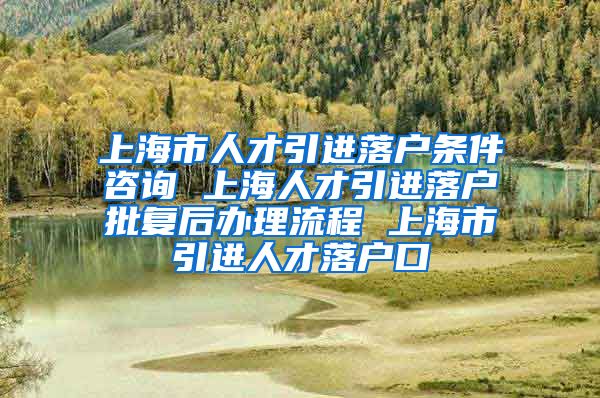 上海市人才引进落户条件咨询 上海人才引进落户批复后办理流程 上海市引进人才落户口