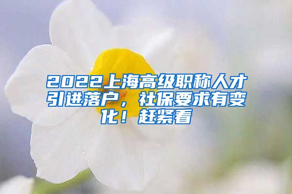 2022上海高级职称人才引进落户，社保要求有变化！赶紧看