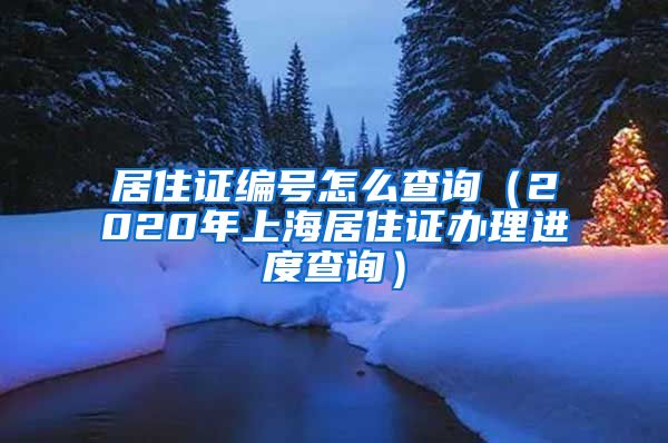 居住证编号怎么查询（2020年上海居住证办理进度查询）