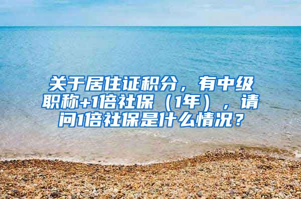 关于居住证积分，有中级职称+1倍社保（1年），请问1倍社保是什么情况？