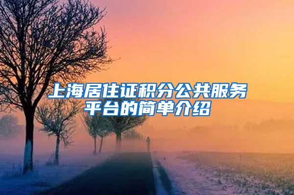 上海居住证积分公共服务平台的简单介绍