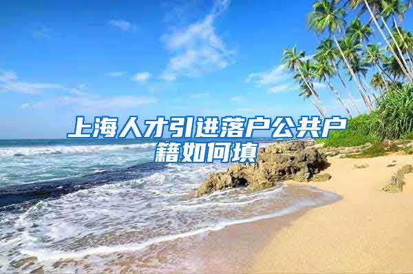 上海人才引进落户公共户籍如何填